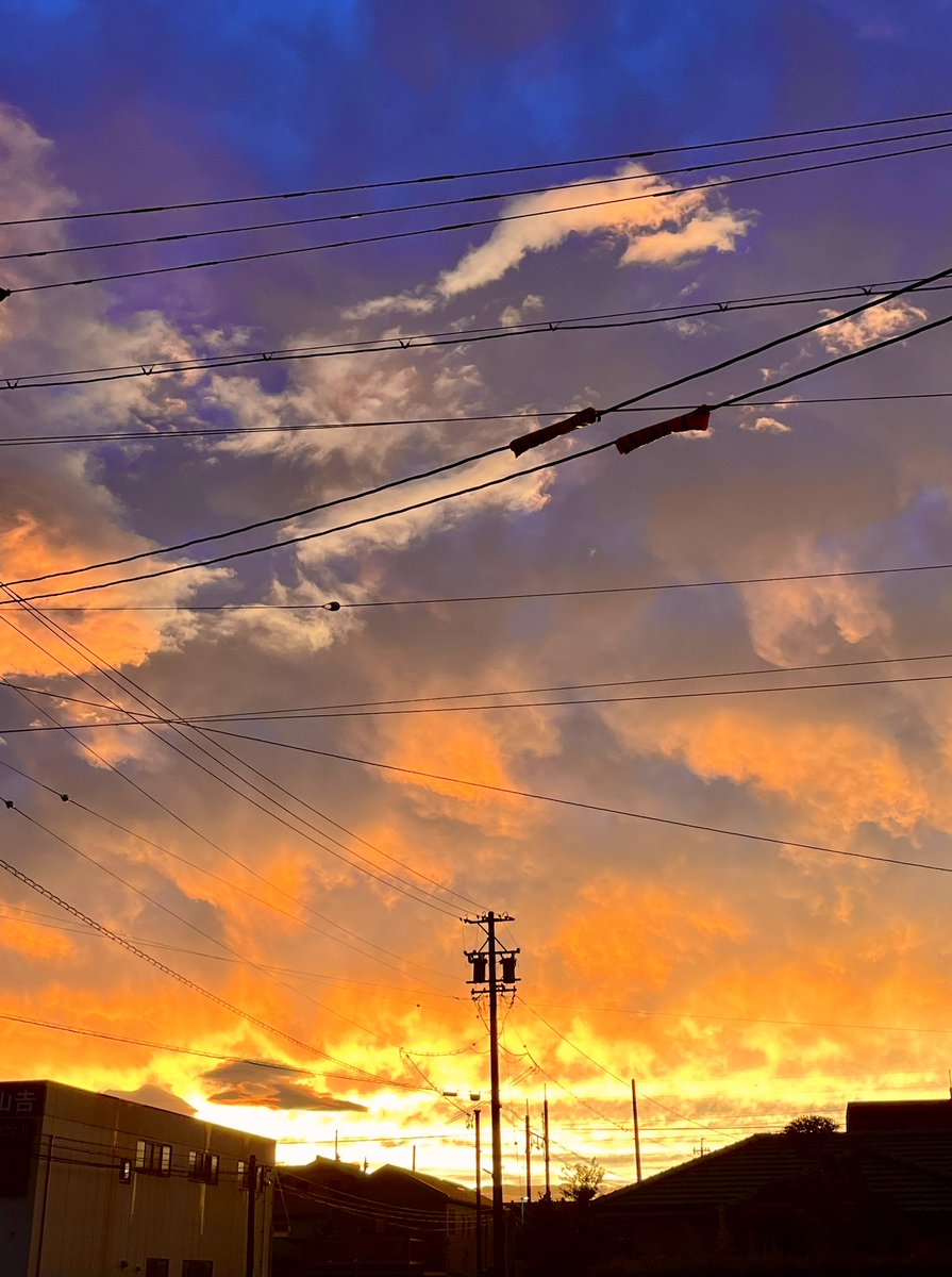 cisco_quartz's tweet photo. 8月終わるねえ

とにかく暑すぎたよねえ
まだ投稿出来てないねえ
猫たちだけは元気だねえ

だが予言しておく…
9月は8月より寒い！！

その希望を胸に
明日も頑張ろう https://t.co/XGm7qMVgQo