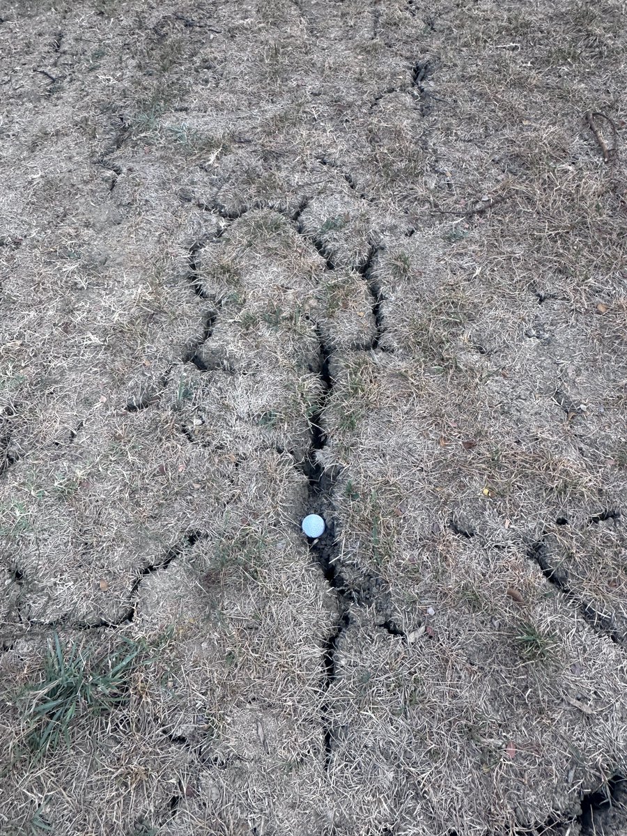 Top100Rick's tweet photo. Are you making your friend hit this in a friendly match? 

Off the fairway, but an area that normally has grass. Clearly an irrigation issue, but not marked ground under repair. 

My take? Just move it. This isn’t the US Open. https://t.co/ORbL15wXUs