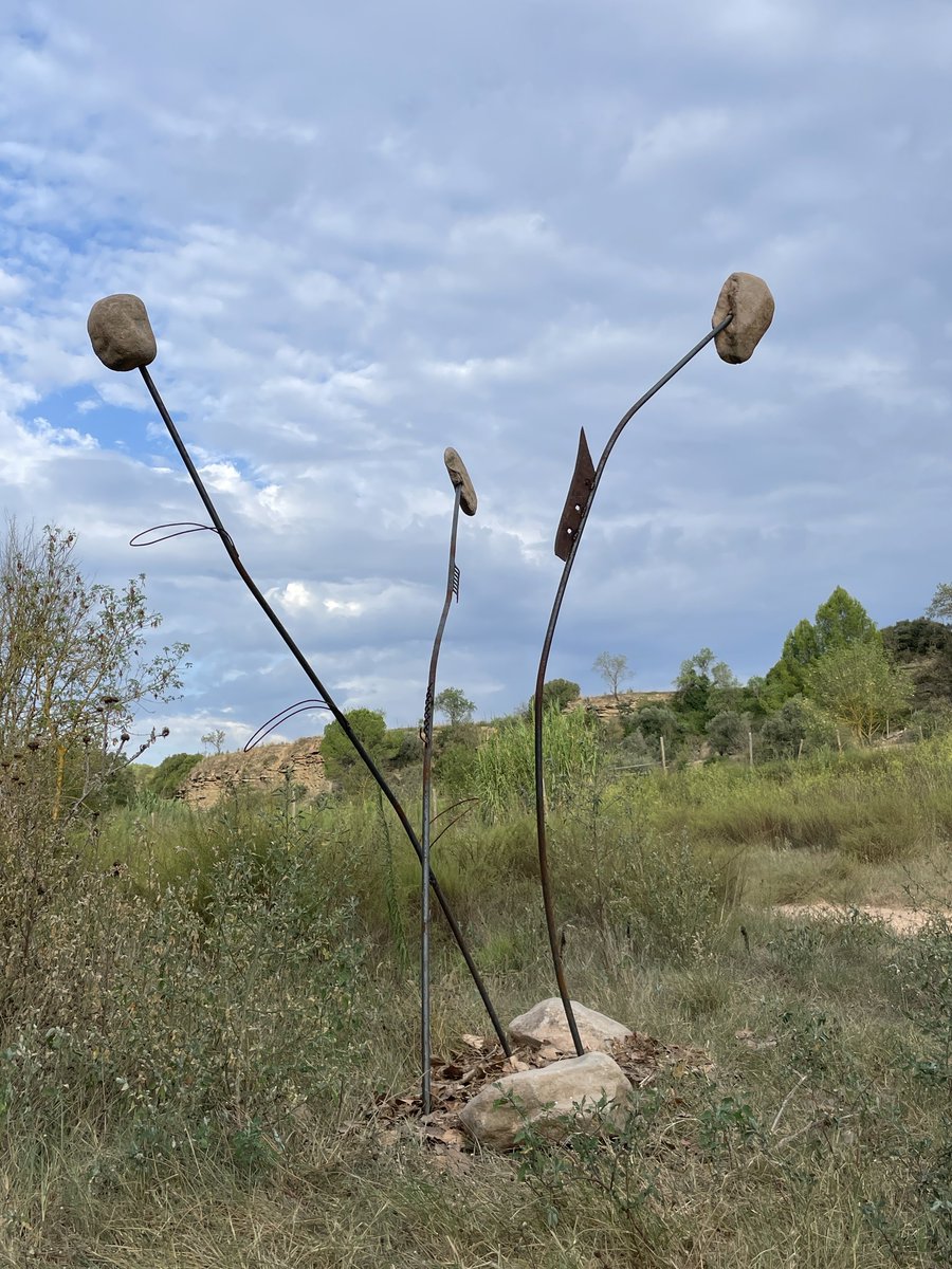 Elisa Altimiras Brunet tweet media