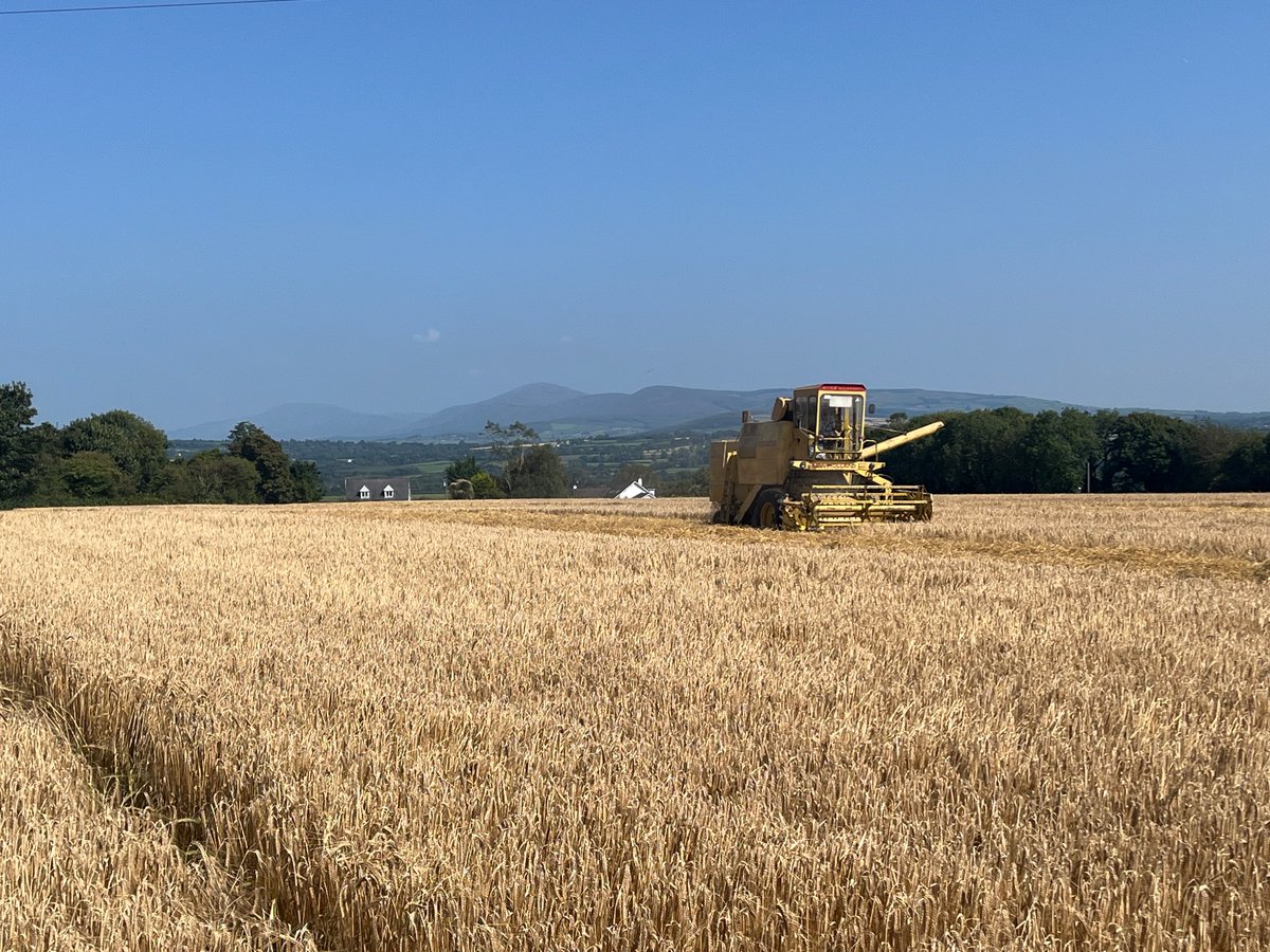 Dr. Patrick Forrestal tweet media