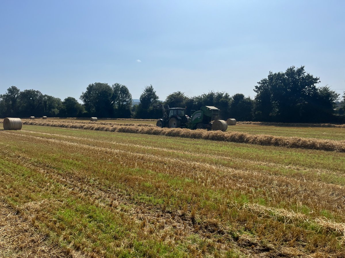 Dr. Patrick Forrestal tweet media