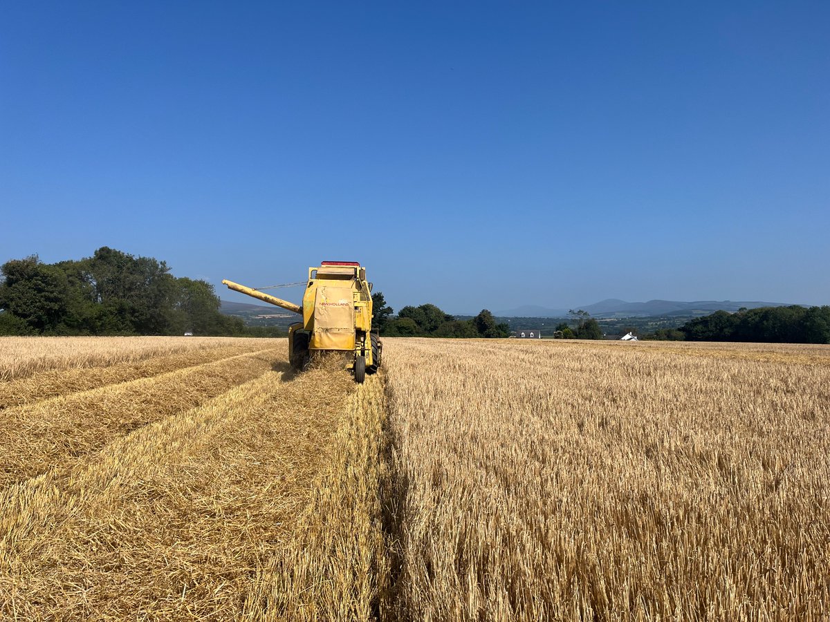 Dr. Patrick Forrestal tweet media