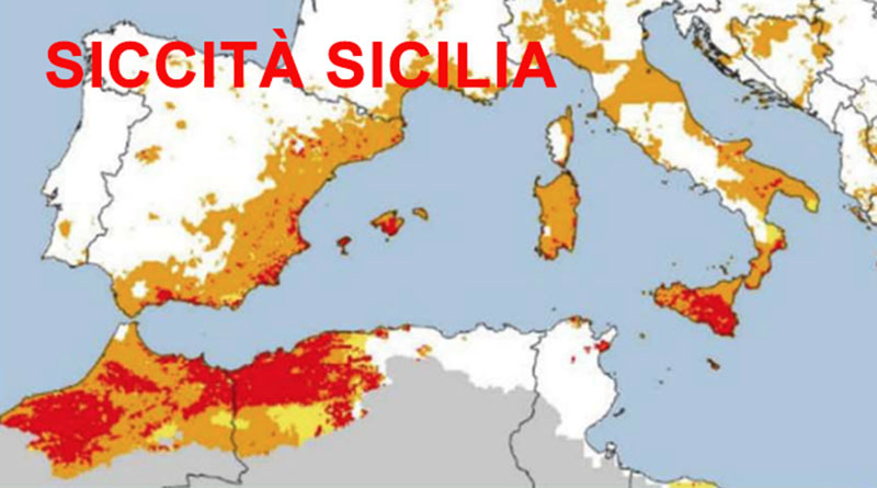 Siccità, Cappadona #AgciSicilia: “Apprezziamo primo bando commissario Cartabellotta contributi di sostegno 15 mln per fronteggiare la crisi idrica in #agricoltura. Auspichiamo urgente attuazione ulteriori interventi annunciati da Giunta regionale”.  #acqua
bit.ly/4e8PQGV