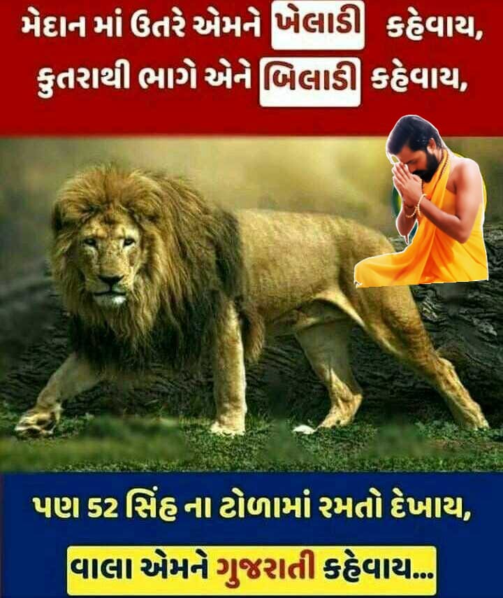 Dinesha64192780's tweet photo. 🙏મોજ લાવી દીધી આજે તો ગુજરાતીઓ🙏

ગુજરાતીઓનો ડંકો વાગ્યો હો 
ટ્રેન્ડ પર લાવી દીધું તમે પણ આપણા ગુજરાતી લોકો ને ફોલોવર ઓછા છે.  ફોલોવર વધારવા માં મદદ કરજો પાછી. જે કૉમેન્ટ રી પોસ્ટ કરે તેને ફોલોવ કરજો હો પાછા❤️🙏🙏

જય જય ગરવી ગુજરાત 🙏🏻🙏🏻🙏🏻
#Trendinginindia 
#હા_અમે_ગુજરાતી https://t.co/bEscPz9M2C