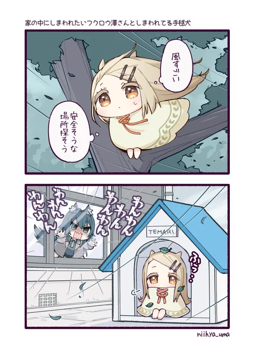 台風がきそうな日のフクロウ澤さんと手毬犬です
#篠澤広 