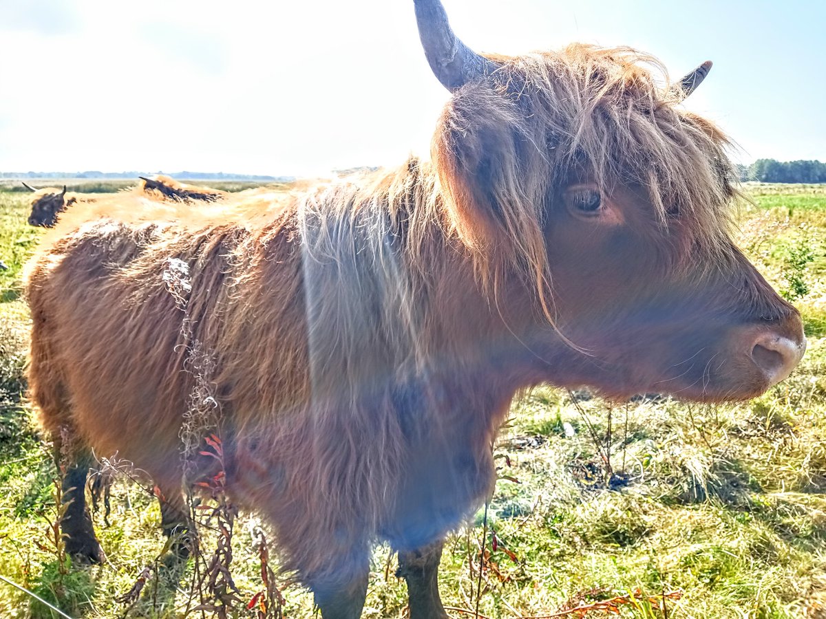 Spatial Ecology Group tweet media