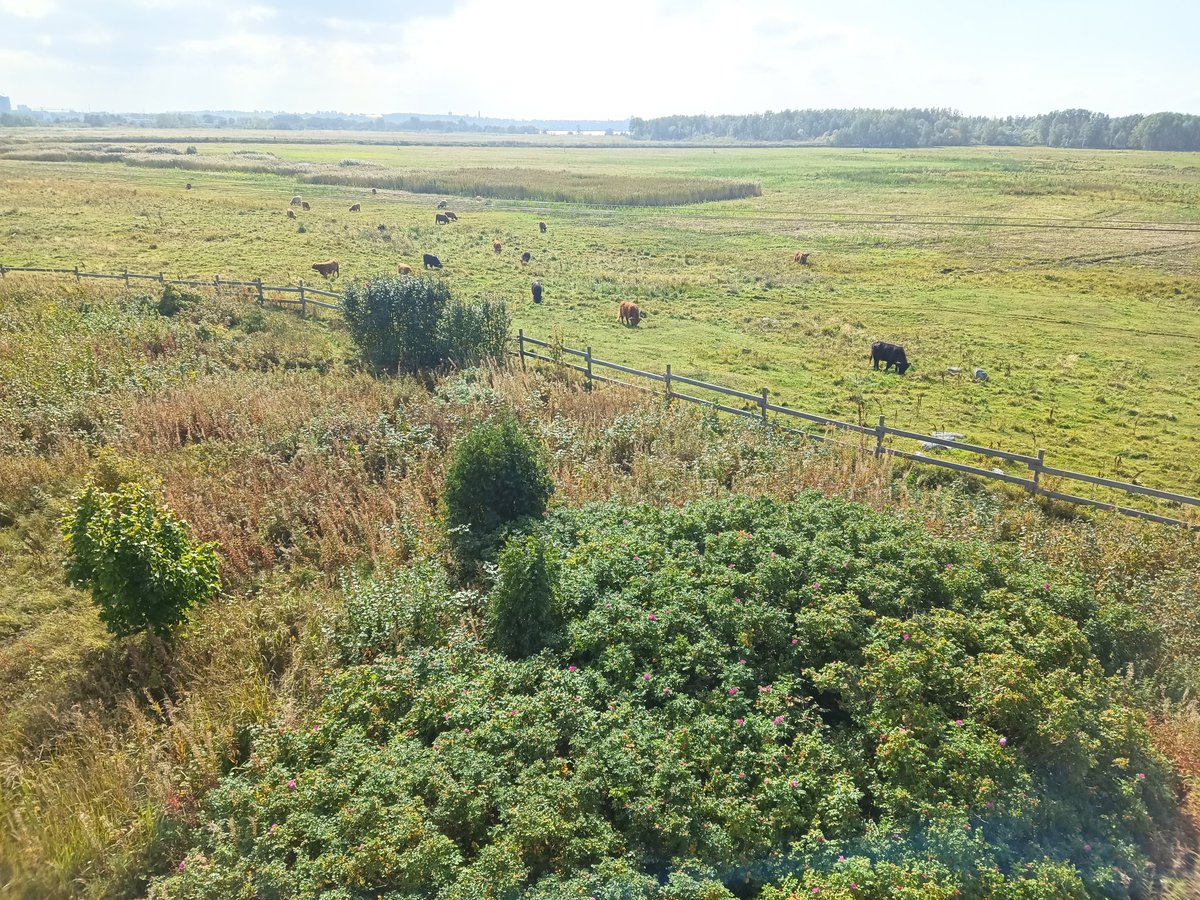 Spatial Ecology Group tweet media