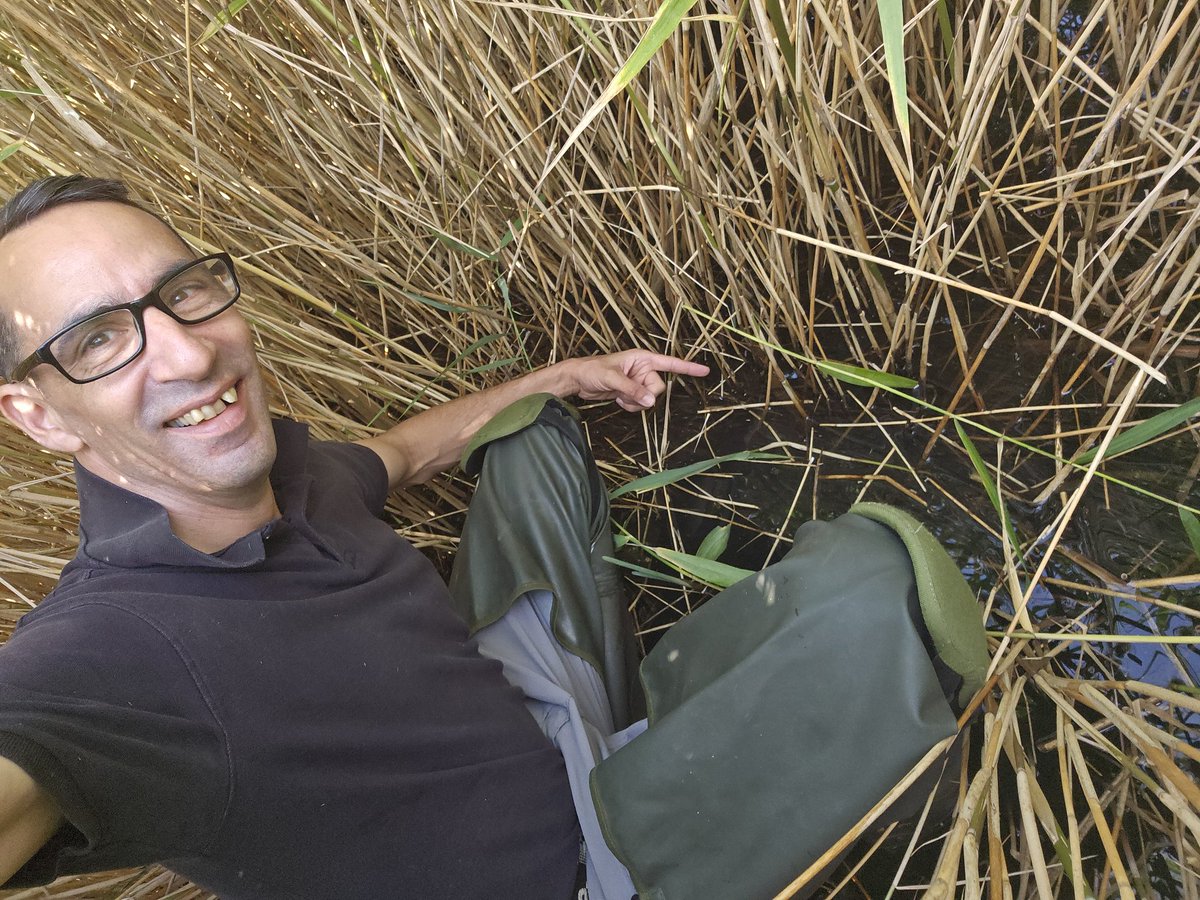 Jamie warren tweet media