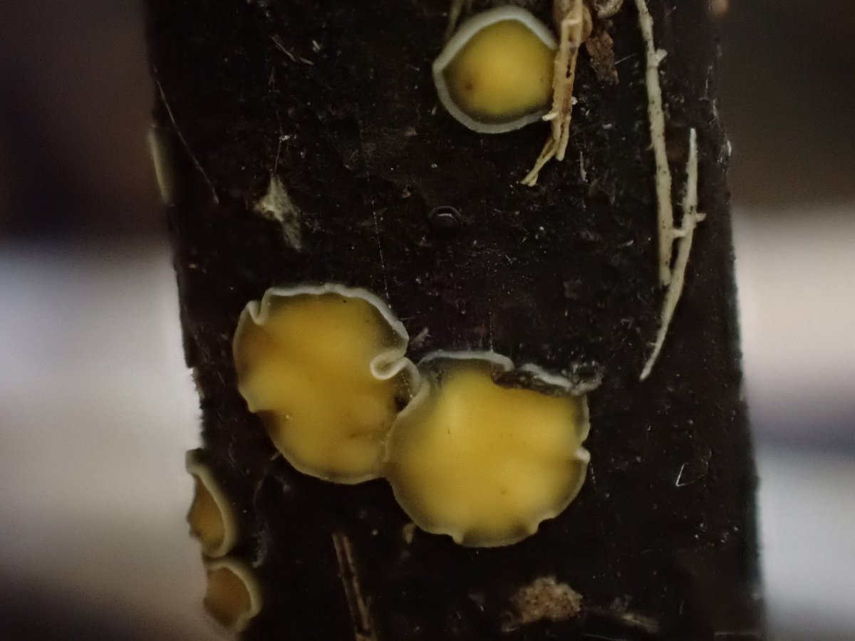 Jamie warren tweet media