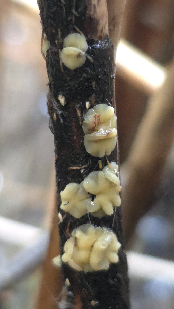 Jamie warren tweet media