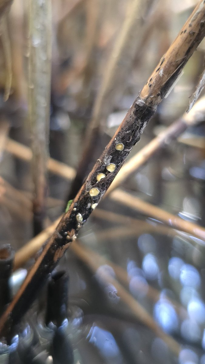 Jamie warren tweet media