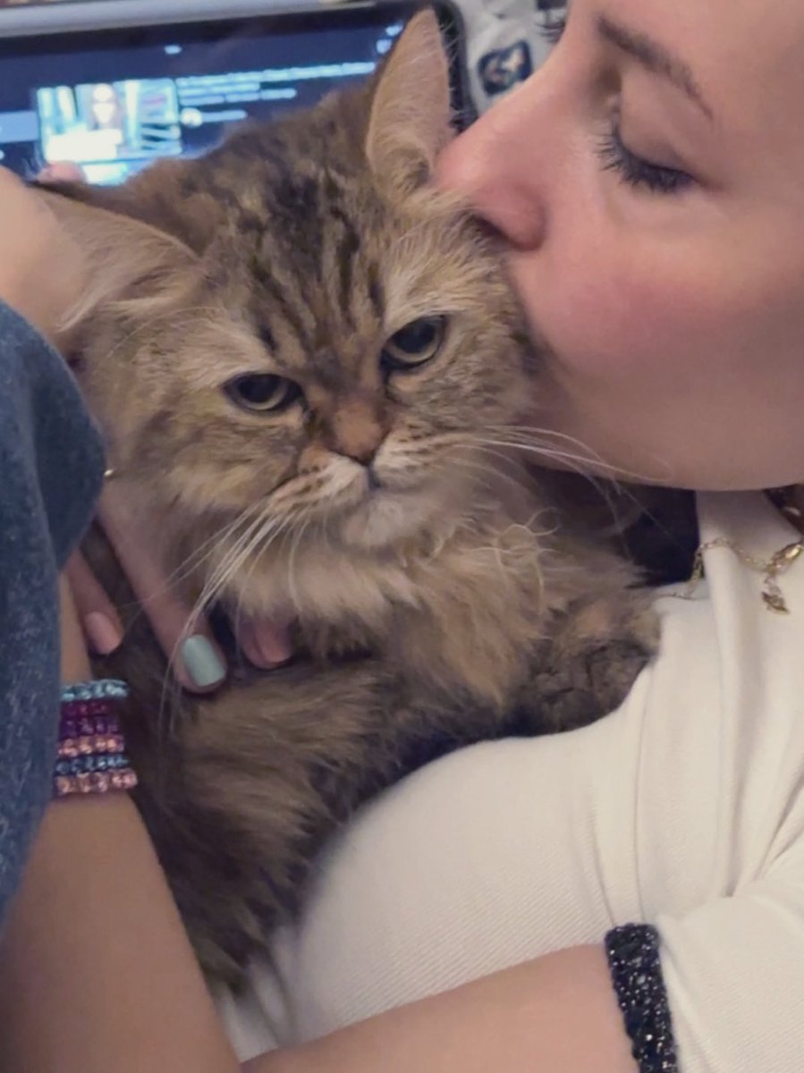 Roaa ♊️ ~ tweet media