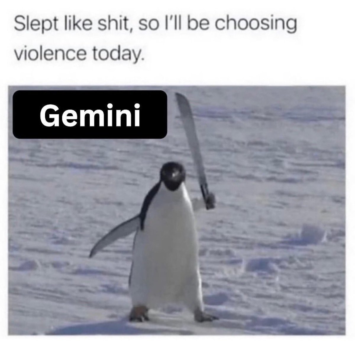 Roaa ♊️ ~ tweet media