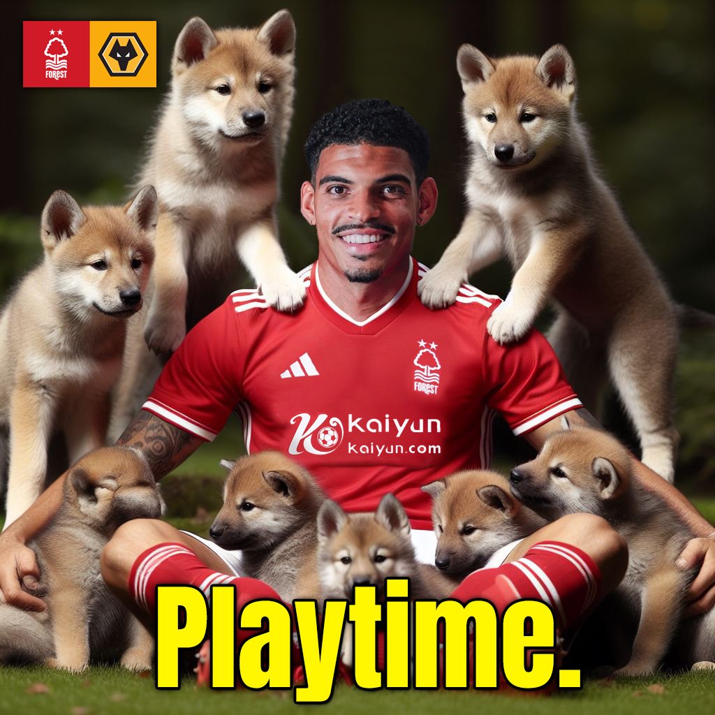 FPLwebbo's tweet image. Lets do this #NFOWOL #nffc