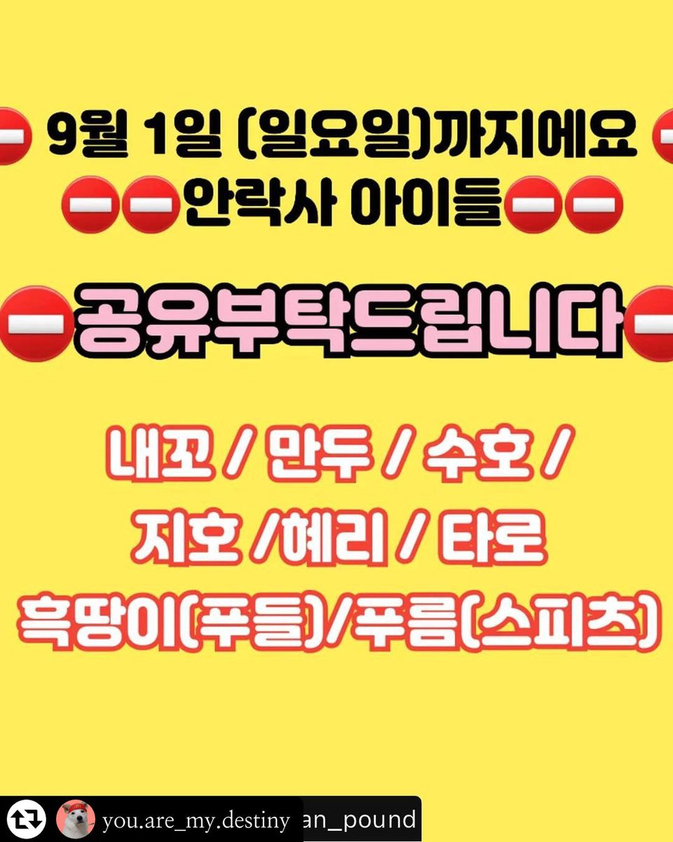 🐻‍❄️웅이🐻‍❄️ tweet media