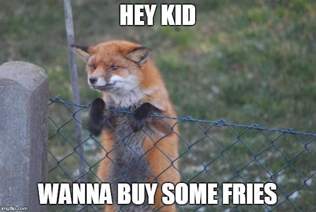 FopsHourly's tweet image. 