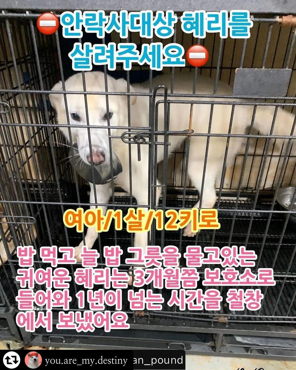🐻‍❄️웅이🐻‍❄️ tweet media