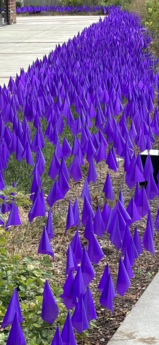 CherryBoyles's tweet image. In recognition of International Overdose Awareness Day, Natalie’s Sisters is participating in “Deviating to Hope” at DV8 Kitchen. 
Come see us today! 💜 @NatSisters @DV8Kitchen