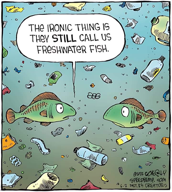 🌊 🥤 🐟 #PlasticPollutes #BreakFreeFromPlastic