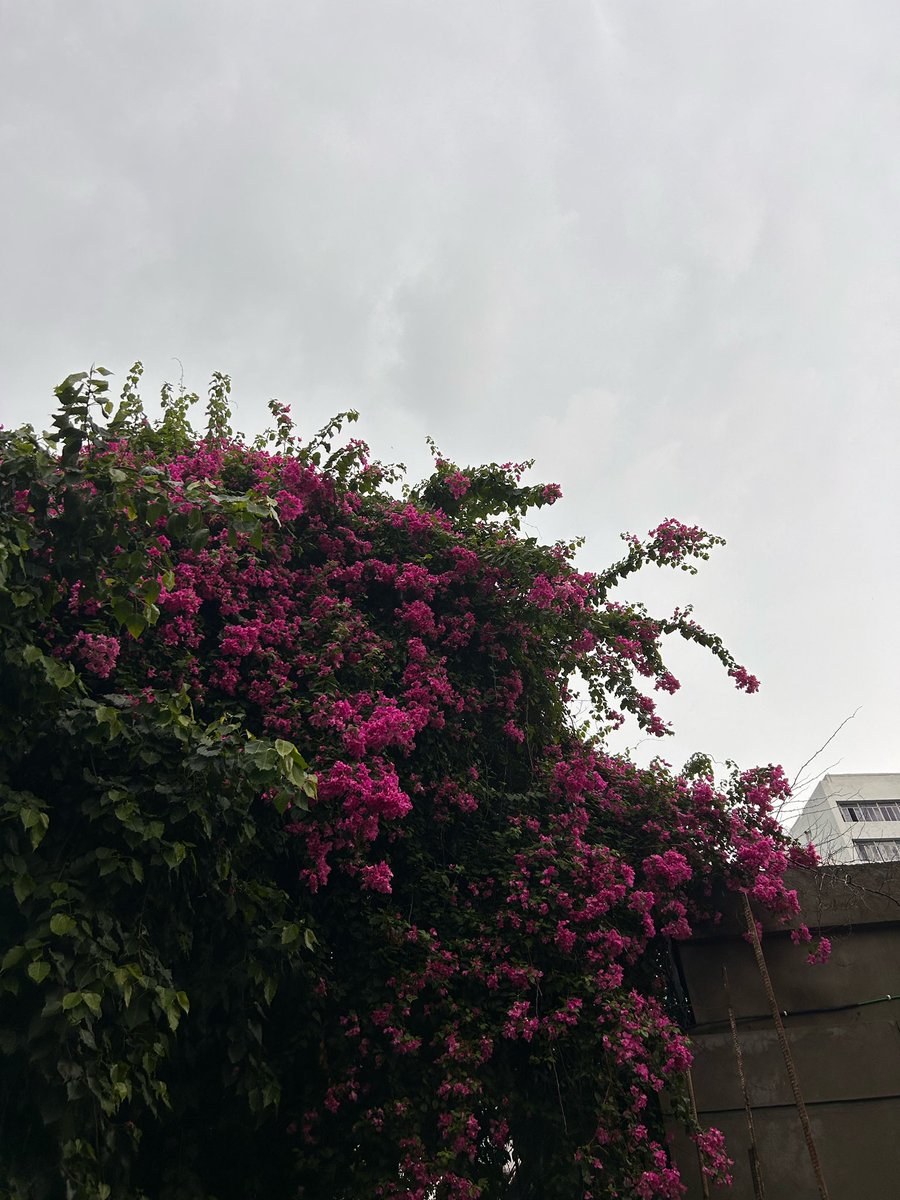 KejriwalAnu's tweet photo. But I can see us lost in the memory
August slipped away into a moment in time
Cause it was never mine https://t.co/GqmPQHcLwT