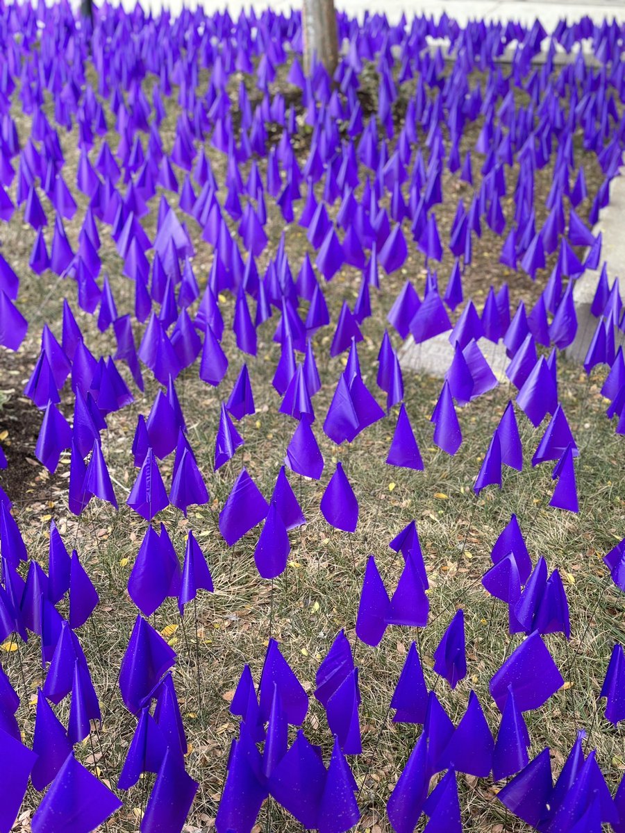 Cherry Boyles (@cherryboyles) on Twitter photo 12,361 purple flags representing the number of overdose deaths in Kentucky during the last 7 years. What will you do to stop that number from growing? <a href="/NatSisters/">Natalie's Sisters</a> <a href="/DV8Kitchen/">DV8 Kitchen</a> 12,361 purple flags representing the number of overdose deaths in Kentucky during the last 7 years. What will you do to stop that number from growing? <a href="/NatSisters/">Natalie's Sisters</a> <a href="/DV8Kitchen/">DV8 Kitchen</a>