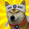 Soldogofficial's tweet photo. we are going to woooof https://t.co/Xr4e23F1Eq