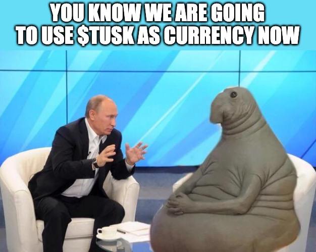 Tusk The Walrus tweet media