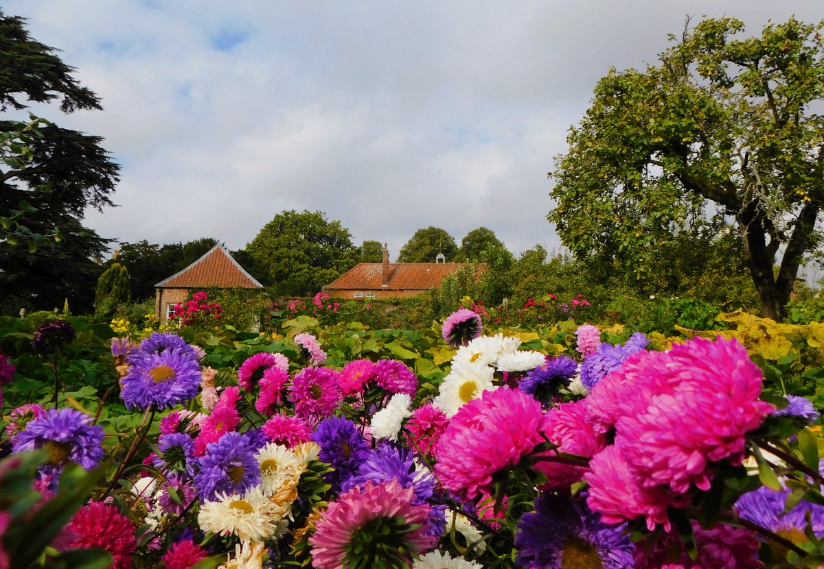 IanW1985's tweet photo. Colour in the #gardens of #GunbyHall as #Summer heads towards #Autumn #Lincolnshire https://t.co/KgEmGMhA3R