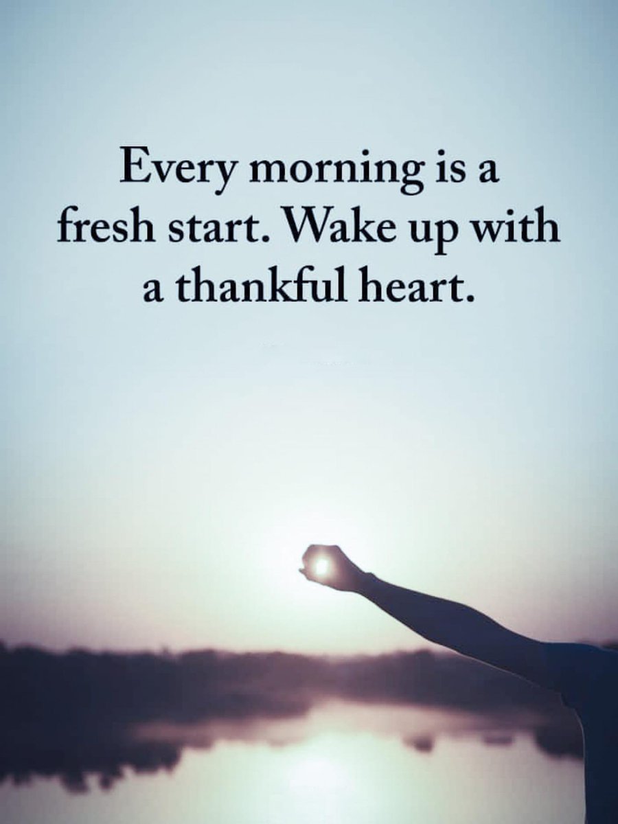 Dana Monogue, PhD (@drmonogue) on Twitter photo 