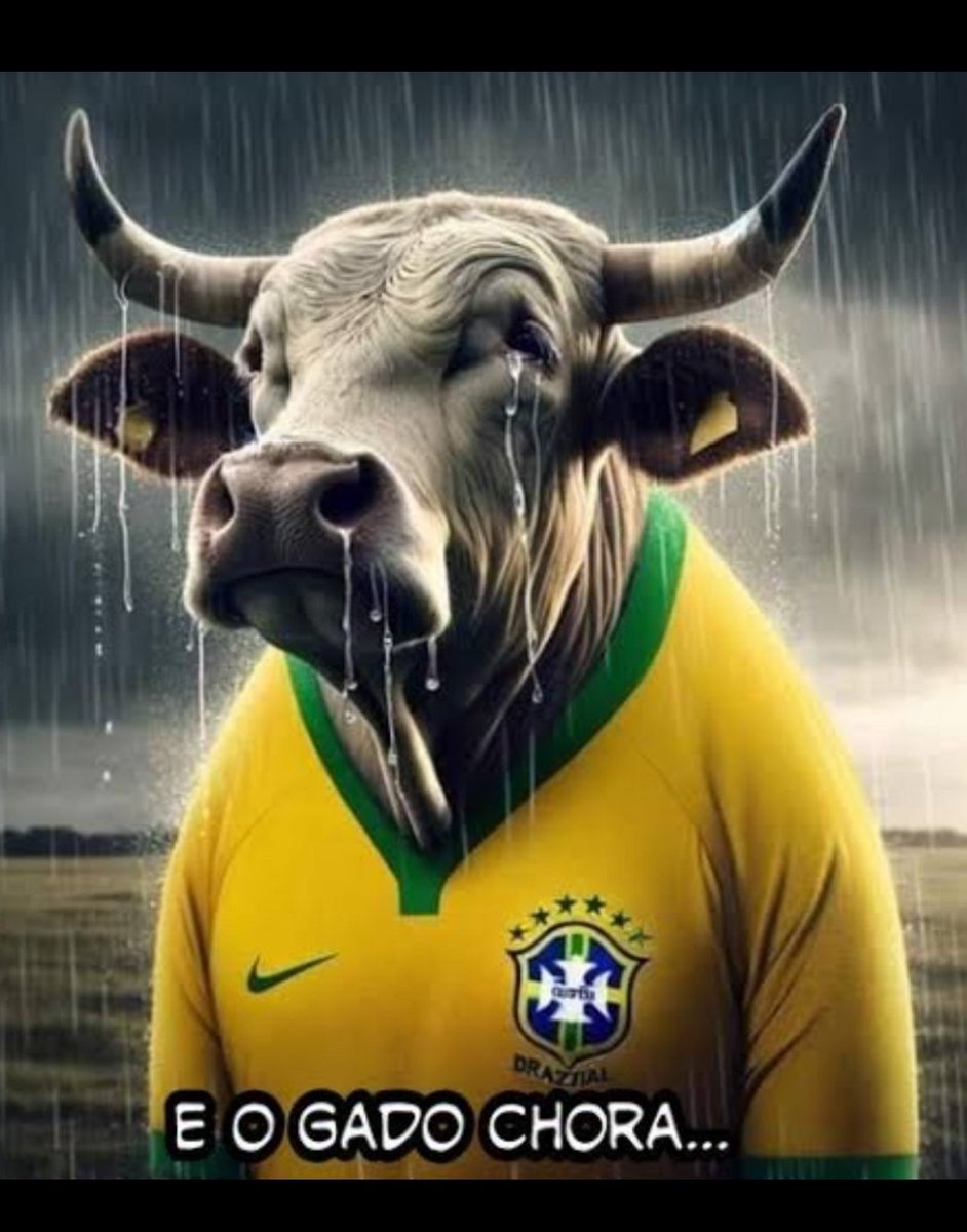 Ivone Barros 🇧🇷 🚩 BOLSOFÓBICA 🇧🇷 🇪🇭 tweet media