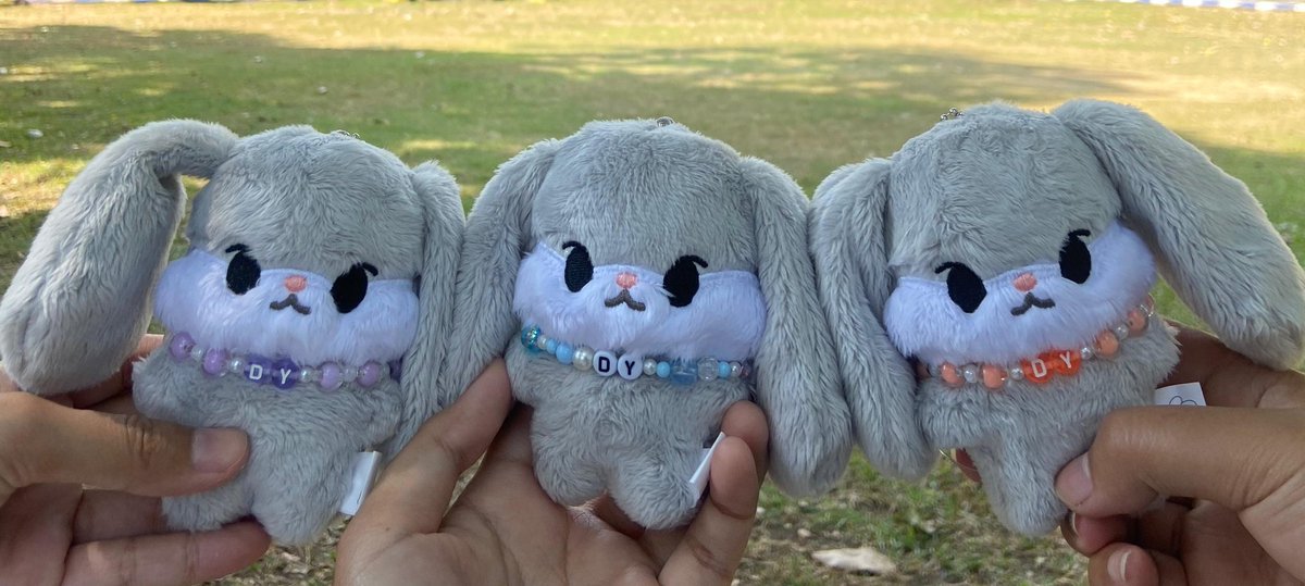 pls say hi to triplets dyotokki 🐰🐰🐰
