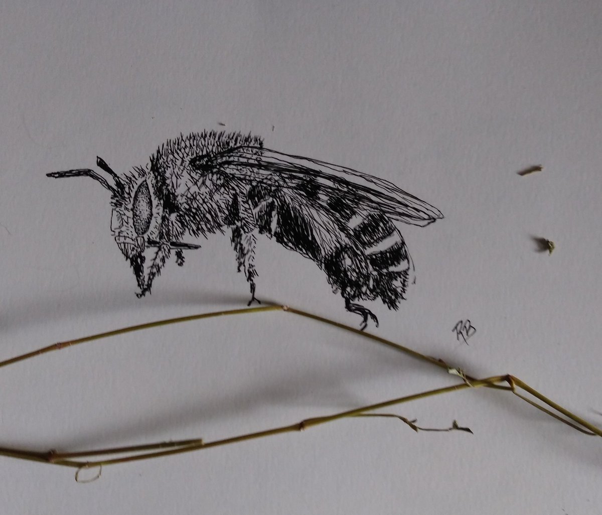 GM! Grateful to be here with you all, Grateful for those who own &amp; support my Art, listen to my music, and this incredible Journey. Today is my Friday🎉, so excited for the weekend! ❤️‍🔥🎨✍️🖌️🎶