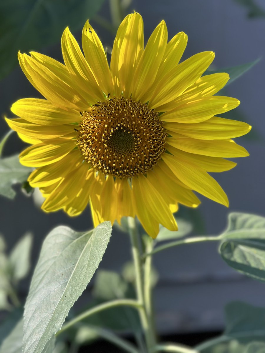 Uncle.Traveling.Matt. tweet media