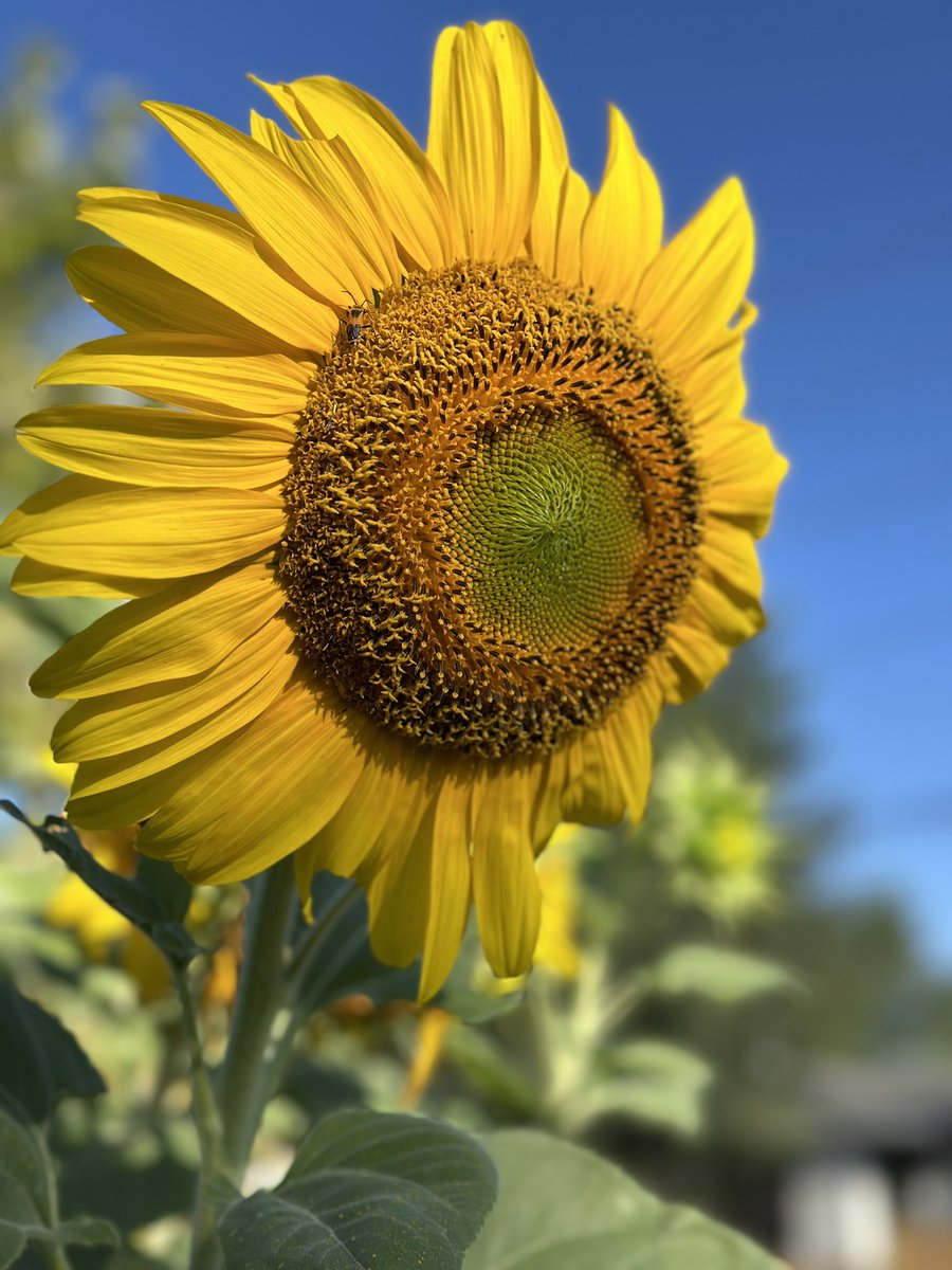 Uncle.Traveling.Matt. tweet media