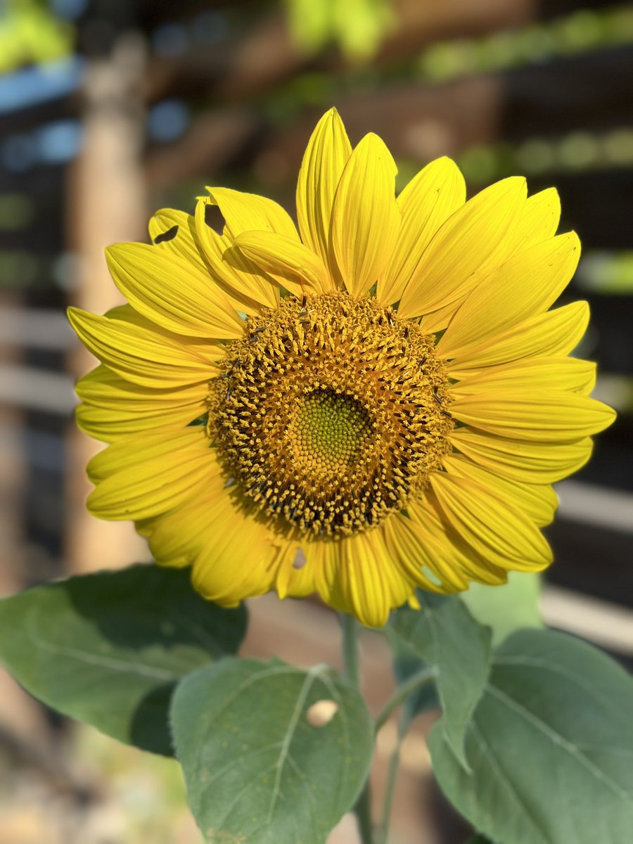 Uncle.Traveling.Matt. tweet media