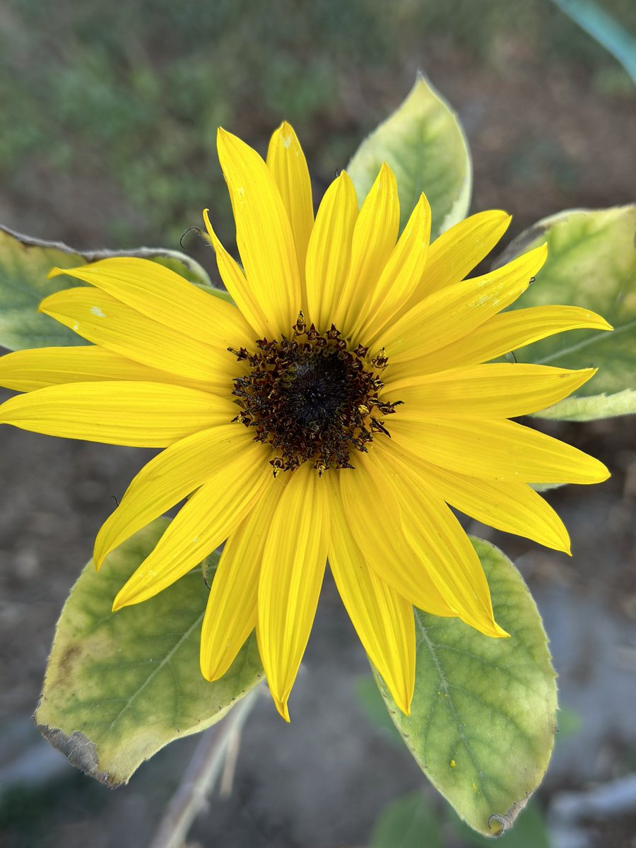 Uncle.Traveling.Matt. tweet media