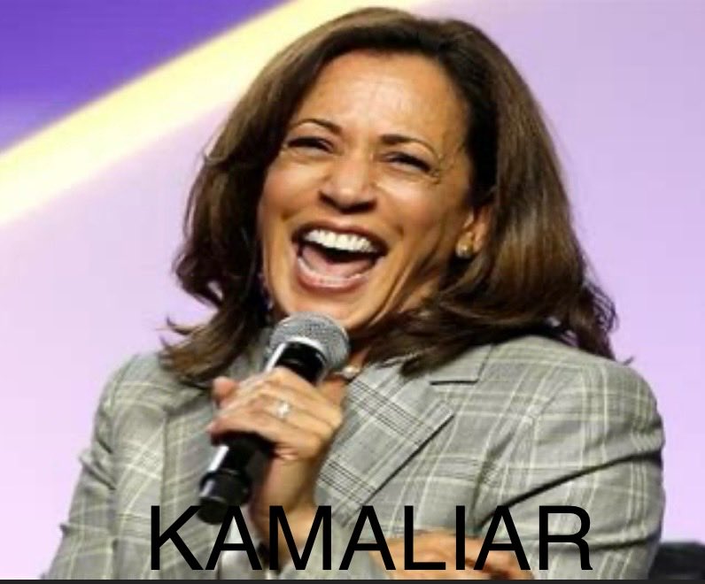 Dawn87085957's tweet image. #economy #CloseBorders #Illegalimmigration #ForeignWars #KacklingKamala #Kamala #TrumpToSaveAmerica #VoterID #Trump #Trump2024Vance #VoteRedToSaveAmerica #Democrats #DemocratsDividingandDestroyingAmerica #harriswalzDANGEROUS4USA 
#CommieKamala