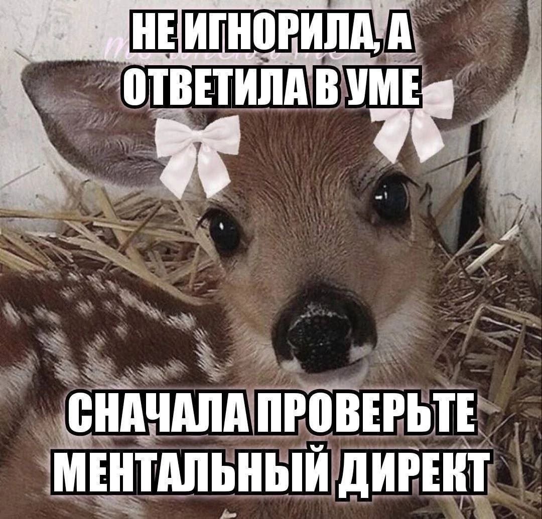 🐸жабья принцесса👑 (@kxiq7u7oc8nsgnc) on Twitter photo 