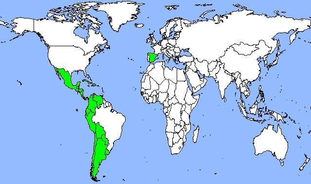 theepicmap's tweet image. Map of countries that speak Mexican 🇲🇽