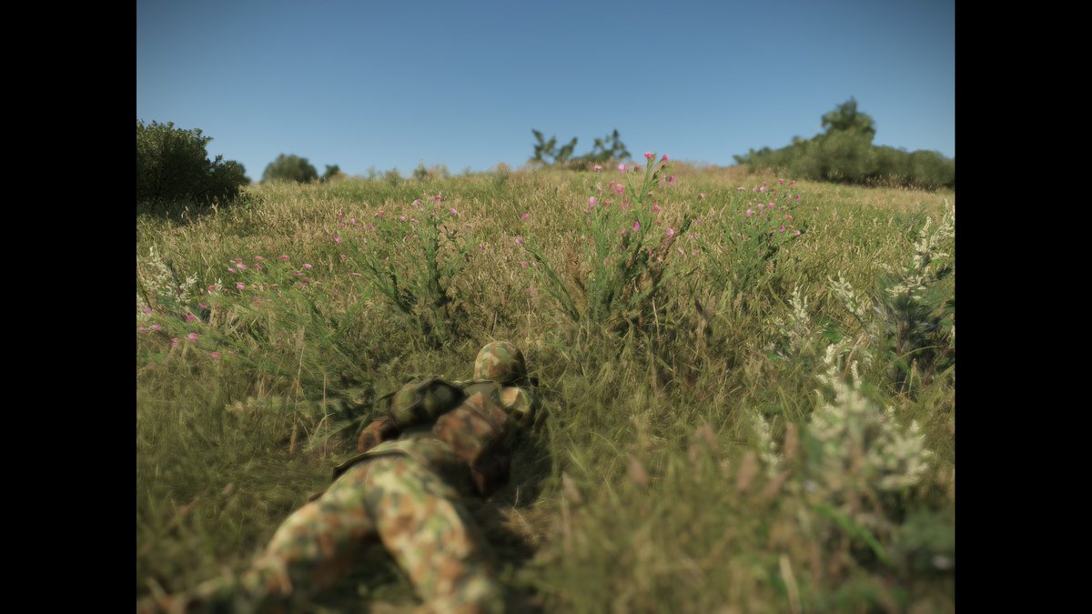 Australian DPCU camoflauge proving itself highly effective amongst the colour palette of Everon's grassy hillscapes #Arma #ArmaReforger #BohemiaInteractive #Arma3 #Australia #ADF #camo #camoflauge #Enfusion
