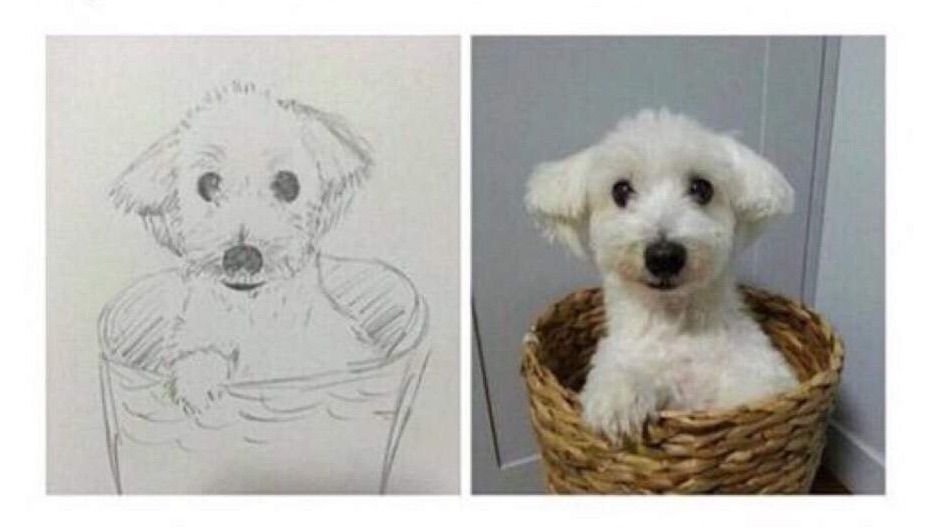 JjinjaLoveJin's tweet photo. Jin having a great time helping a rescue center for dogs reminds me of Jjangu &amp; Jungkook's Gureum, both are Maltese &amp; are rescue dogs. 
#jinkook🐶 https://t.co/KwAH52Yunt