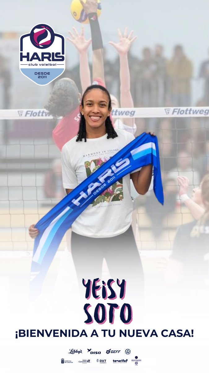 ➕ Siguen llegando integrantes de la primera plantilla.

👋🏼 Es el turno de nuestro entrenador, 𝗙𝗮𝗰𝘂𝗻𝗱𝗼 𝗠𝗼𝗿𝗮𝗻𝗱𝗼, y 𝗬𝗲𝗶𝘀𝘆 𝗦𝗼𝘁𝗼 🦁

Bienvenidos a la Isla 🌋💙 

#TenerifeDespiertaEmociones #VisitTenerife #ActivaTuVida #DeporteParaTi #LigaIberdrolaVB