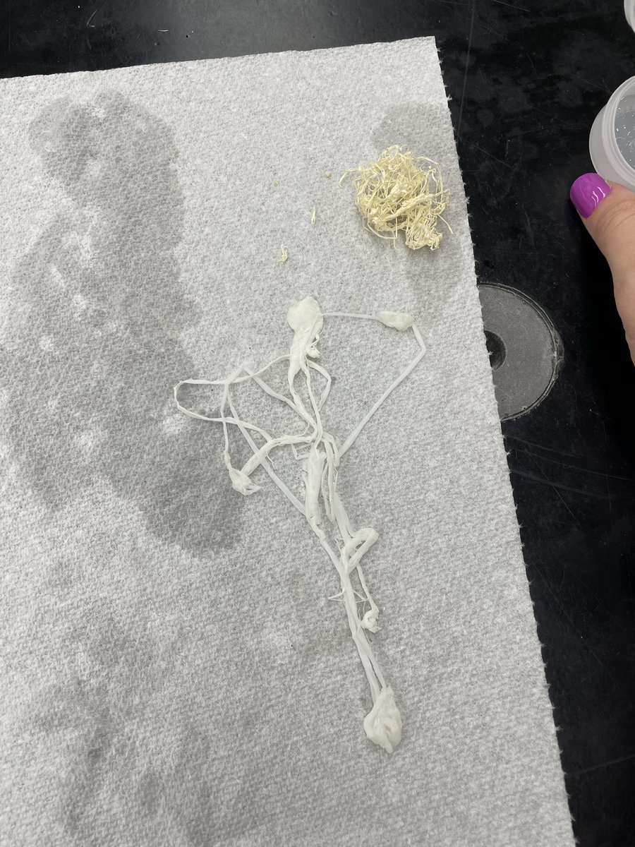 AlLiS⌬N McMah⌬n tweet media