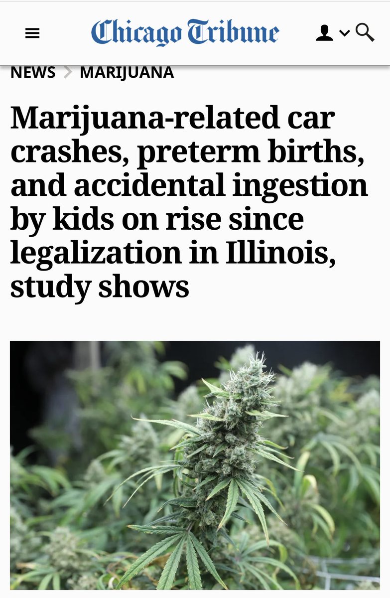 Hawksgirl80's tweet photo. Here we go again. Trump doesn’t understand a Florida Amendment. Study shows crime goes up when marijuana is legal. Can his advisors prep him better, please? 

Vote NO on 3 🚫 https://t.co/8OaU2ApMIl