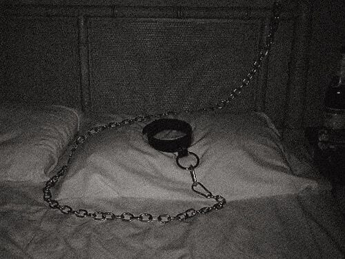 savage_dominant's tweet photo. Who wants to sleep next to me attached to this? https://t.co/UMzlP8Liyh