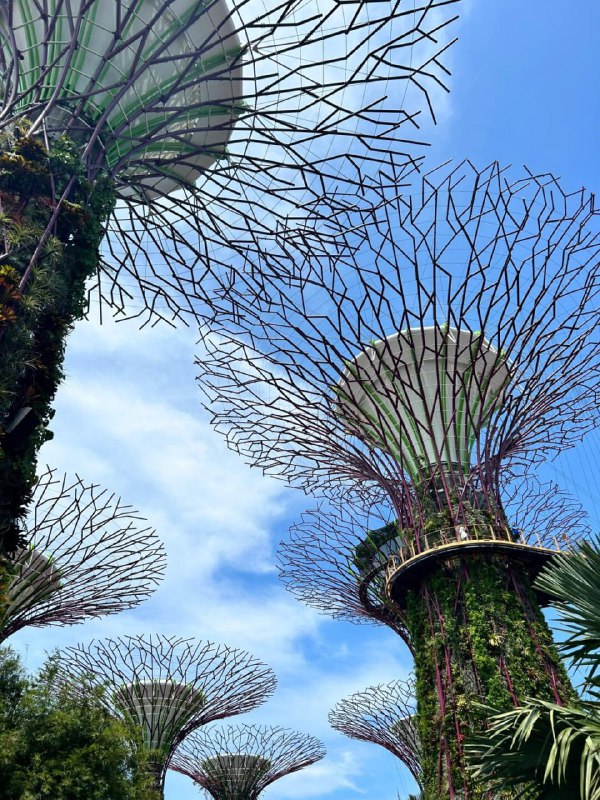 ebe dy（100%互fo） (@ebe_dy55208) on Twitter photo 