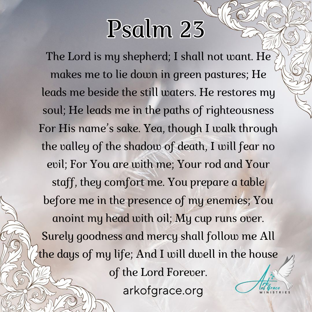 AmandaGrace_AOG's tweet image. Psalm 23 NKJV

#prophecy #Amandagrace #Christiantok #Christian #Christianity #Jesus #faith #inspirational #blessing #Scripture #Bible #Psalms #Shepherd #JesusisLord #pray #amen