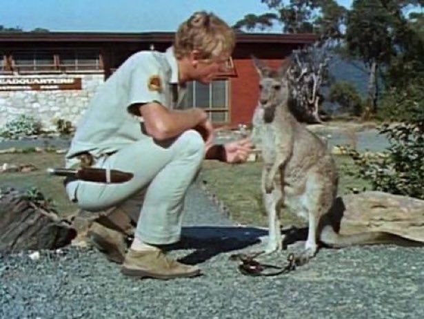 “What’s that Skippy? Nadine Dorries has eaten your ball bag and said that dancing demeans Angela Rayner?”