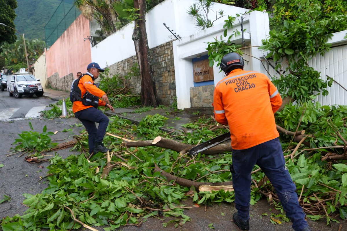 Chacao's tweet photo. En la jornada de este viernes #30Agos nuestros servidores de @PC_Chacao y de poda de @AmbienteChacao atendieron la caída de un árbol en la Décima Primera Avenida de Altamira.
Compartimos 📸 de estas labores 👇🏼
#TrabajandoXChacao https://t.co/2nsNMOvgXQ