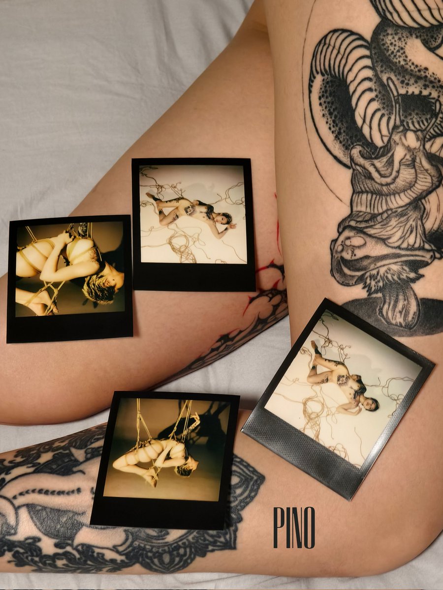 Best Display Racks
Model
@Yucong_yaa 
Rope
@HaoHanShibari 
📷
@zaoyang111 
#Polaroid https://t.co/g2U1gfIIlt